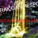 Macam-Macam Gerak Dan Respon Pada Tumbuhan
