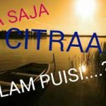 Macam-Macam Citraan Puisi