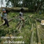 Apa saja ciri-ciri Ekonomi di Indonesia ?