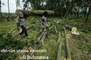 ciri ciri utama ekonomi di Indonesia