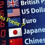 Apa itu Bisnis Forex ? Prinsip, Tujuan, Fungsi, dan Pelakunya