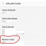 Cara mengaktifkan Mode Pengembang pada perangkat Android