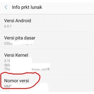 Cara mengaktifkan Mode Pengembang pada perangkat Android