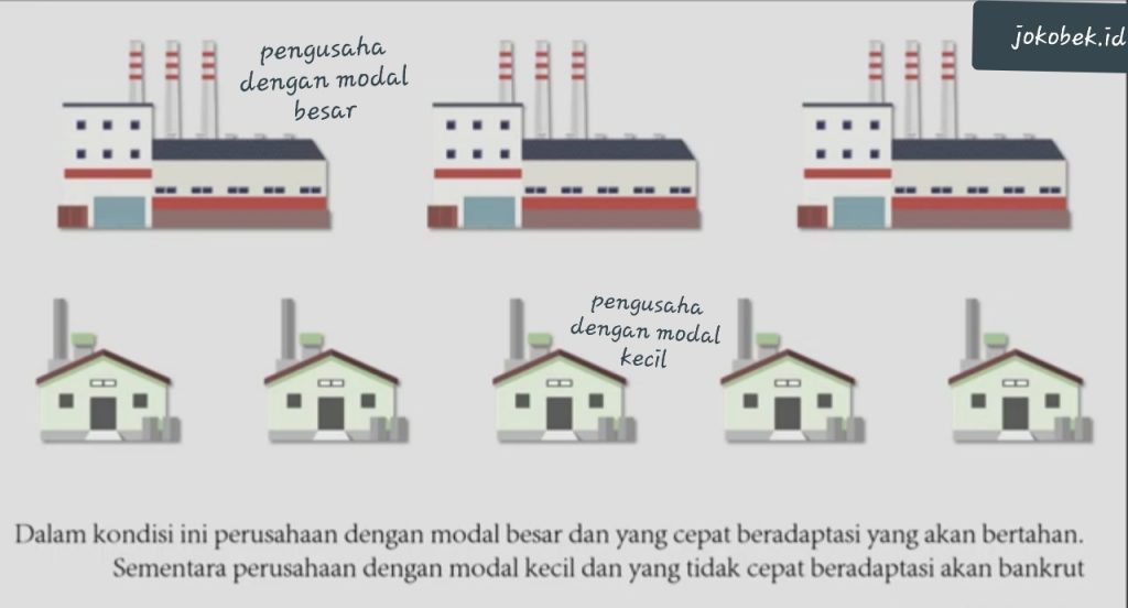 Penjelasan Mengenai Seleksi Alam dalam dunia usaha, mari kita simak